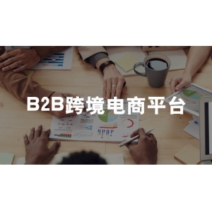 开云·电竞平台b2b跨境电商平台有哪些