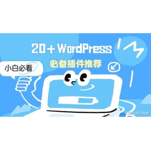 开云·电竞官网小白必看：20+ WordPress必备插件保举