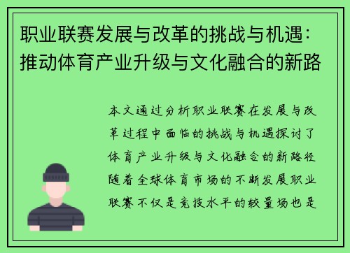 职业联赛发展与改革的挑战与机遇：推动体育产业升级与文化融合的新路径探索